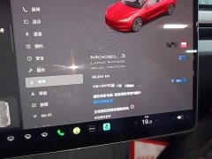 Tesla Model 3 Long Range All-Wheel Drive - ფოტო 11