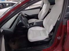 Tesla Model 3 Long Range All-Wheel Drive - ფოტო 14