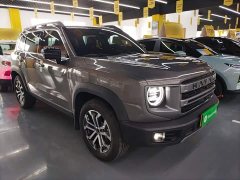 Great Wall Dachshund 1.5T DCT Border Collie Edition - ფოტო 3
