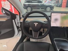 Tesla Model 3 Standard Range RWD Upgrade 3D6 - фото 10