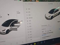 Tesla Model 3 Standard Range RWD Upgrade 3D6 - фото 11