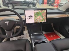 Tesla Model 3 Standard Range RWD Upgrade 3D6 - фото 12
