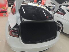 Tesla Model 3 Standard Range RWD Upgrade 3D6 - фото 18