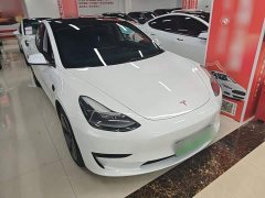 Tesla Model 3 Standard Range RWD Upgrade 3D6 - фото 3