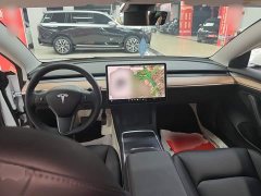 Tesla Model 3 Standard Range RWD Upgrade 3D6 - фото 9