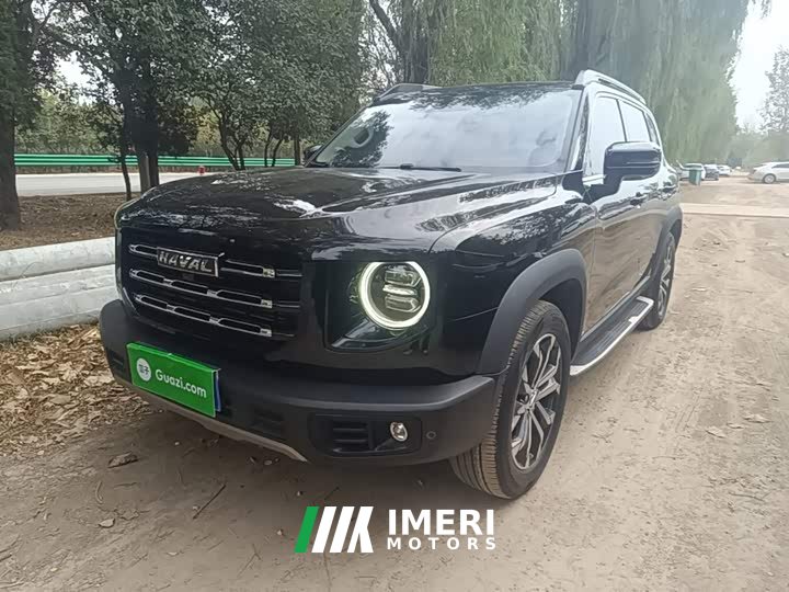 Great Wall Dachshund 1.5T DCT Two-Wheel Drive Border Collie Edition - автомобиль из Китая