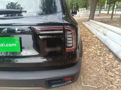 Great Wall Dachshund 1.5T DCT Two-Wheel Drive Border Collie Edition - фото 7
