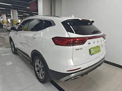 Haval H6 National Trend 1.5GDIT Automatic Champion Edition - ფოტო 4