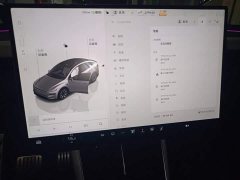 Tesla Model Y L Long Range All-Wheel Drive - ფოტო 12