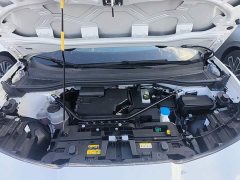 Volkswagen Yuzhong 06 Facelift Pro Long Range Edition - ფოტო 19