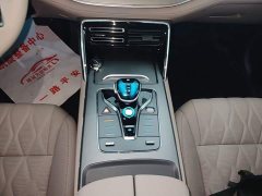 BYD Yuan Plus DM-i 115KM Premium - photo 13