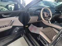 BYD Yuan Plus DM-i 115KM Premium - photo 15