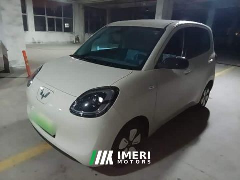 2025 Wuling Hongguang MINIEV Fourth Generation Four-Door Advanced Edition