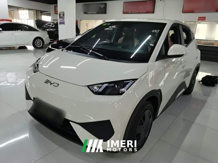 BYD Seagull Smart Drive 305km Vitality Edition