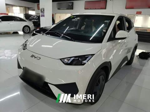 2026 BYD Seagull Smart Drive 305km Vitality Edition