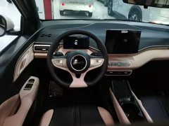 BYD Seagull Smart Drive 305km Vitality Edition - ფოტო 10