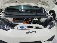 BYD Seagull Smart Drive 305km Vitality Edition - ფოტო 19
