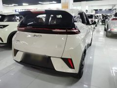 BYD Seagull Smart Drive 305km Vitality Edition - ფოტო 6