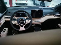 BYD Seagull Smart Drive 305km Vitality Edition - ფოტო 9