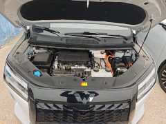 Wuling Starlight 730 New Energy PHEV 125km Luxury - photo 19