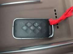 Wuling Starlight 730 New Energy PHEV 125km Luxury - photo 8