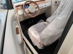 FAW Besturn Xiaoma 222km Colorful Edition - photo 15
