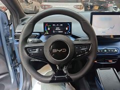 BYD Seagull Smart Drive 305km Vitality Edition - photo 10