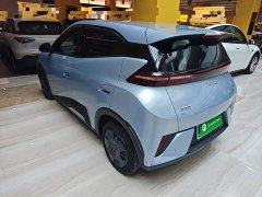 BYD Seagull Smart Drive 305km Vitality Edition - photo 4