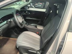 Geely Star Wish 410km Comfort Edition - ფოტო 14