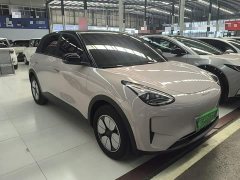 Geely Star Wish 410km Comfort Edition - ფოტო 3