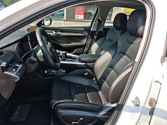 Geely Xingrui 2.0T Diesel Luxury - ფოტო 14