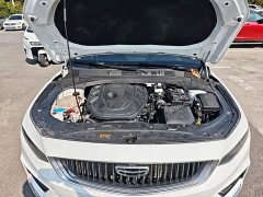 Geely Xingrui 2.0T Diesel Luxury - ფოტო 19