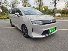 Wuling Starlight 730 New Energy Pure Electric 500km Luxury - фото 3