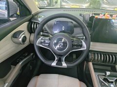 BYD Yuan Plus Glory Edition 510KM Transcend - ფოტო 10