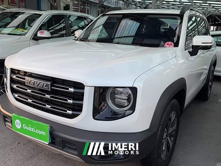 Great Wall Dachshund 1.5T DCT Two-Wheel Drive Labrador Edition - автомобиль из Китая