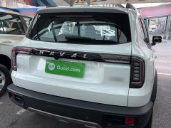 Great Wall Dachshund 1.5T DCT Two-Wheel Drive Labrador Edition - фото 13