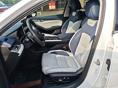 Geely Xingrui 2.0T Diesel Premium Edition - photo 14