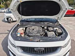 Geely Xingrui 2.0T Diesel Premium Edition - photo 19