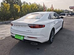 Geely Xingrui 2.0T Diesel Premium Edition - photo 6