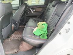 Land Rover Discovery Sport 249PS R-Dynamic S Performance Edition - фото 16