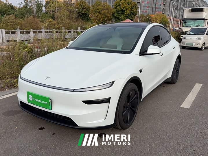 Tesla Model Y Rear-Wheel Drive - автомобиль из Китая