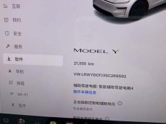 Tesla Model Y Rear-Wheel Drive - фото 12