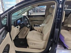 Buick GL8 New Energy Lusang Smart Comfort Edition - photo 15