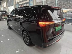 Buick GL8 New Energy Lusang Smart Comfort Edition - photo 4