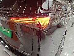 Buick GL8 New Energy Lusang Smart Comfort Edition - photo 7