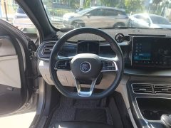 BYD Qin Plus DM-i 55KM Flagship - photo 10