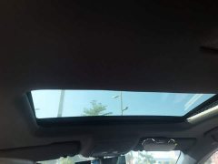BYD Qin Plus DM-i 55KM Flagship - photo 17