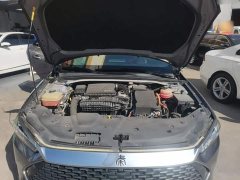 BYD Qin Plus DM-i 55KM Flagship - photo 19