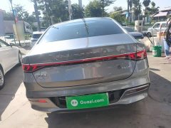 BYD Qin Plus DM-i 55KM Flagship - photo 5