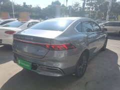 BYD Qin Plus DM-i 55KM Flagship - photo 6
